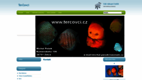 What Tercovci.cz website looks like in 2024 