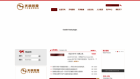 What Tenhongland.com website looks like in 2024 