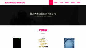 What Tianmeiyule.com website looks like in 2024 