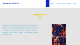 What Tsinsun.com website looks like in 2024 