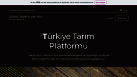 What Turkiyetarimplatformu.com website looks like in 2024 