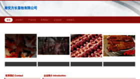 What Taerri.cn website looks like in 2024 