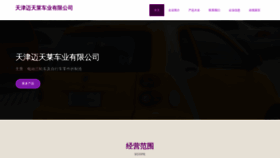 What Tidmtli.cn website looks like in 2024 