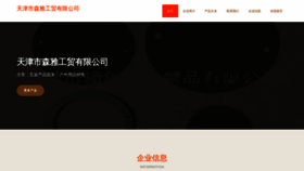 What Tjsenya.cn website looks like in 2024 