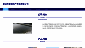 What Toeujps.cn website looks like in 2024 
