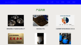 What Tsfgafe.cn website looks like in 2024 