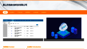 What Tsgeoxw.cn website looks like in 2024 