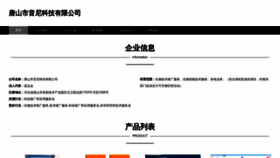 What Tsyin.cn website looks like in 2024 