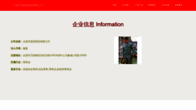 What Tyapx.cn website looks like in 2024 