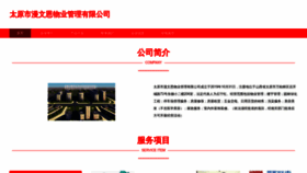 What Tyspmw.cn website looks like in 2024 