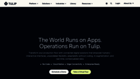 What Tulip.co website looks like in 2024 