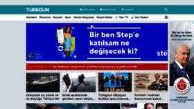 What Turkgun.com website looks like in 2024 