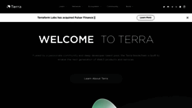 What Terra.money website looks like in 2024 