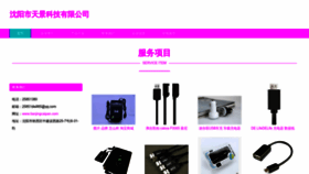 What Tianjingcaipan.com website looks like in 2024 
