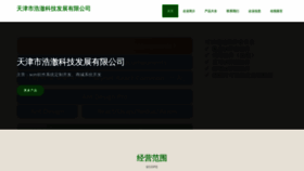What Tjhaoche.com website looks like in 2024 