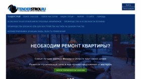 What Tenderstroi.ru website looks like in 2024 