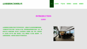 What Tangyuanzs.com website looks like in 2024 