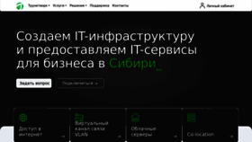 What Truenetwork.ru website looks like in 2024 