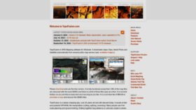 What Topofusion.com website looks like in 2024 