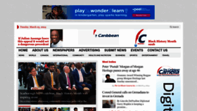 What Thecaribbeancamera.com website looks like in 2024 