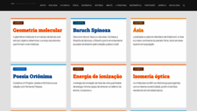 What Todoestudo.com.br website looks like in 2024 