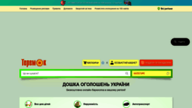 What Teremok.org.ua website looks like in 2024 