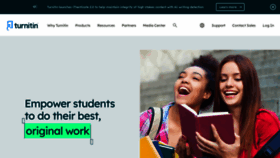 What Turnitin.com website looked like in 2024 (1 year ago)