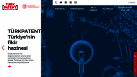 What Turkpatent.gov.tr website looked like in 2024 (1 year ago)