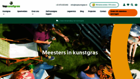 What Topkunstgras.nl website looks like in 2024 