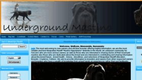What Undergroundmastino.com website looked like in 2013 (11 years ago)