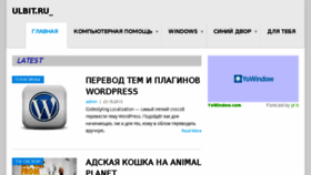 What Ulbit.ru website looked like in 2015 (8 years ago)