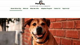 What Urbandog.com website looked like in 2017 (6 years ago)