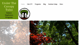 What Underthecanopy.org website looked like in 2018 (5 years ago)