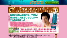 What Umitsuyu.com website looked like in 2019 (4 years ago)