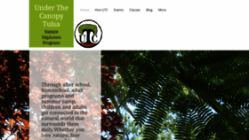 What Underthecanopy.org website looked like in 2019 (4 years ago)