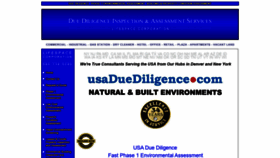 What Usaduediligence.com website looked like in 2019 (4 years ago)