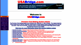 What Usabridge.com website looked like in 2019 (4 years ago)