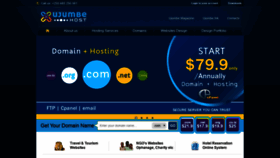 What Ujumbehost.com website looked like in 2019 (4 years ago)
