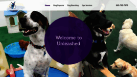 What Unleasheddaycare.com website looked like in 2019 (4 years ago)