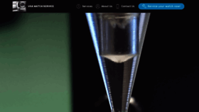 What Usawatchservice.com website looked like in 2020 (5 years ago)
