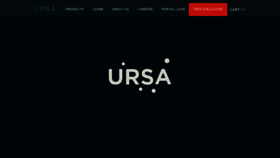 What Ursaspace.com website looked like in 2020 (4 years ago)