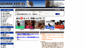 What Uehara-kennel.com website looked like in 2020 (4 years ago)