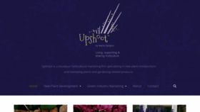 What Upshoothort.com website looked like in 2020 (4 years ago)