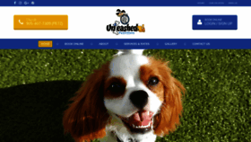 What Unleashedpetsitters.ca website looked like in 2020 (4 years ago)