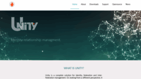 What Unity-idm.eu website looked like in 2020 (4 years ago)