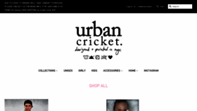 What Urbancricketnyc.com website looked like in 2020 (4 years ago)