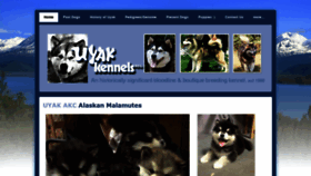 What Uyak.com website looked like in 2020 (3 years ago)