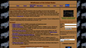 What Uswildflowers.com website looked like in 2020 (3 years ago)