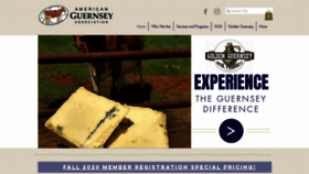 What Usguernsey.com website looked like in 2020 (3 years ago)