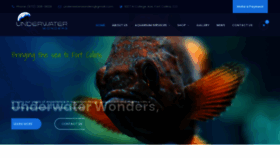 What Underwater-wonders.com website looked like in 2020 (3 years ago)